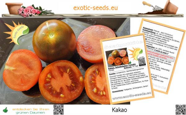 Tomate * Kakao * Schokoladen-Tomate * 20 Samen